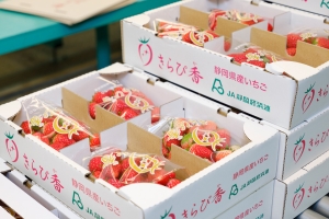 Packaging &amp; Kitchen Utensial Solution